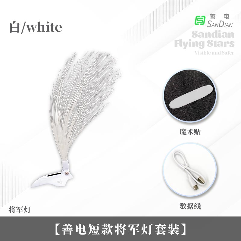 將軍燈